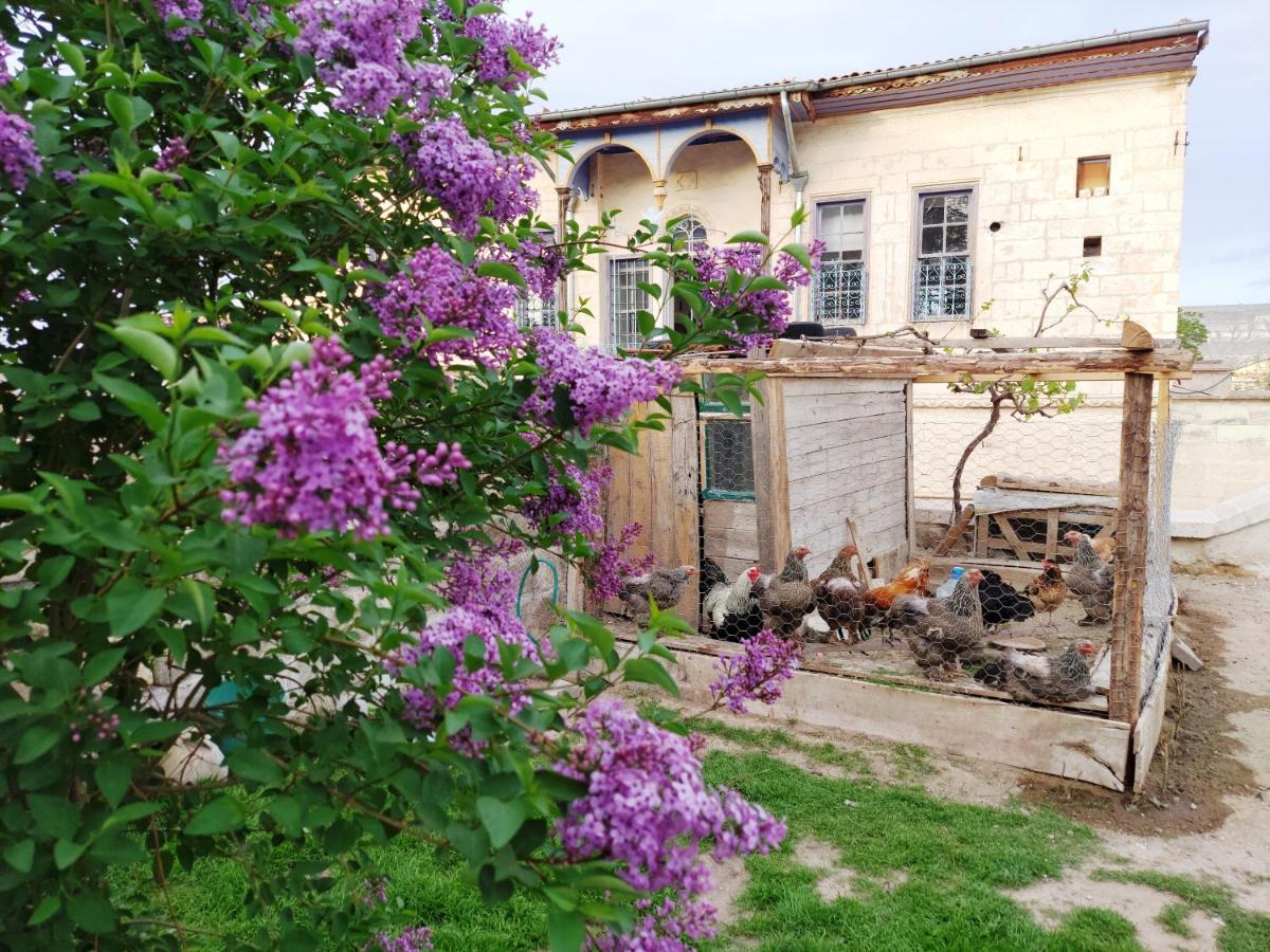 Armesos Cave Hotel Urgup Exterior photo